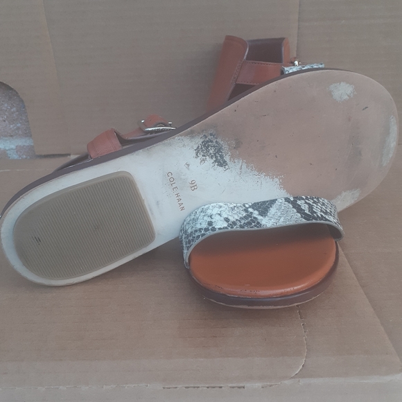 LeatherSandal COLE HAAN Barra Snake embossed LEATHER Minimalist Greek Sandal 9 - Picture 8 of 9